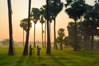Sonnenuntergang bei den Reisfeldern von Ubud, Bali Rundreise, Indonesien Luxusreise