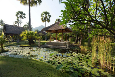 Garten, Matahari Beach Resort, Pemuteran, Bali, Indonesien Privatreise