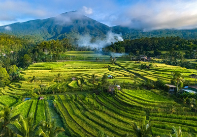 Jatiluwih Reisterassen, Bali, Indonesien Reise
