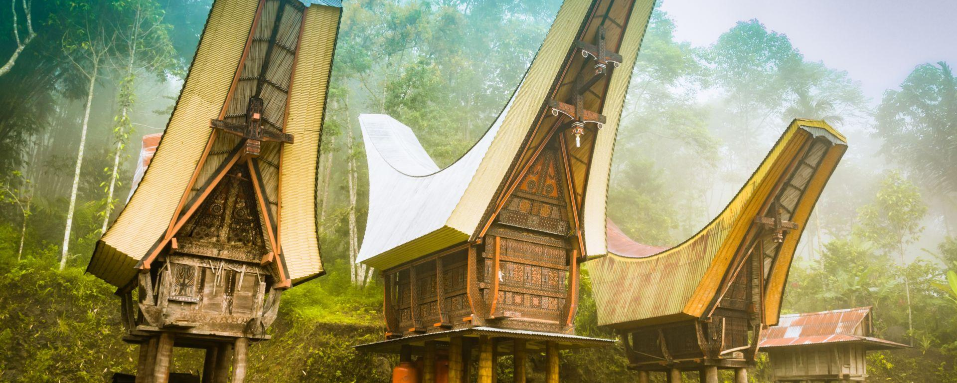 Bambushaus, Sulawesi, Toraja, Indonesien Reise