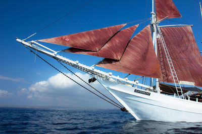 Bug, Segelschiff Katharina, Sunda Inseln, Indonesien Reise