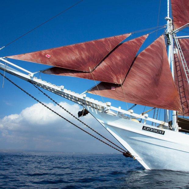Bug, Segelschiff Katharina, Sunda Inseln, Indonesien Reise
