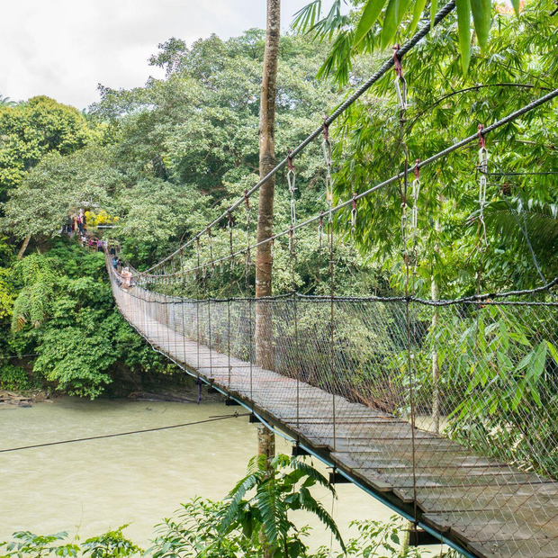 Hängebrücke in der Nähe der Tangkahan Beach Jungle Lodge, Indonesien Reise