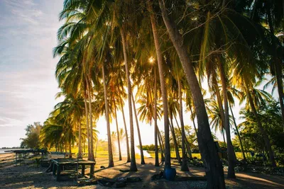 Strandabschnitt, Sumba Island, Indonesien Inselhopping