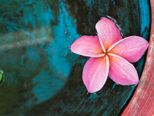 Lifestyle und Wellness in Vietnam - celebrate your life, Vietnam Lifestyle Reise