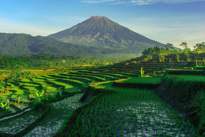 Reisterrassen, Magelang, Indonesien Reise