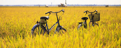 Fahrradtour, Bali, Indonesien Luxusreise