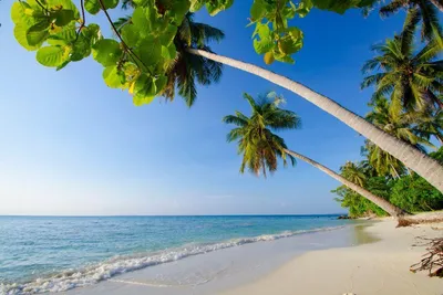 Karimun Jawa, Indonesien Golfreise
